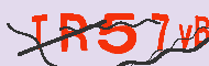 Kód CAPTCHA