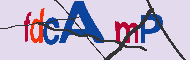 Kód CAPTCHA