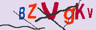 Kód CAPTCHA
