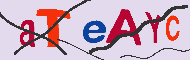 Kód CAPTCHA