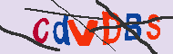 Kód CAPTCHA